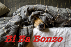 Bi Ba Bonzo