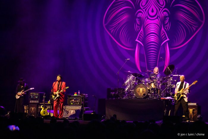 Tony Levin: Terug naar de Basis – Een Gesprek over Muziek, Leven en het Podium