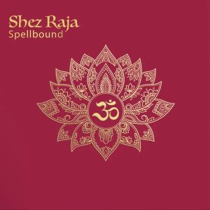 Album recensie overzicht: Nikki Nair, Fred Hersch en meer